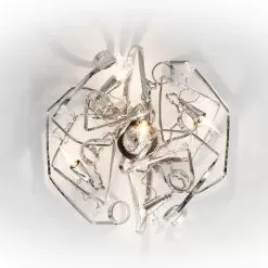 Delphinium Ceiling Round