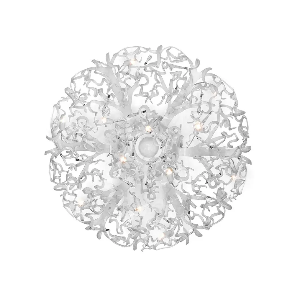 Icy Lady Ceiling Round 3 Icy Lady Ceiling Round