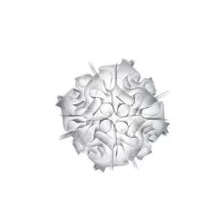 Veli Mini Ceiling/Wall -Lighting Store Slamp VeliMini Ceiling Wall 07