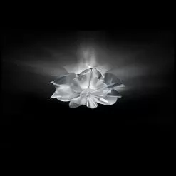 Etoile Ceiling/Wall 11 Etoile Ceiling/Wall -Lighting Store Slamp etoile ceiling wall image4