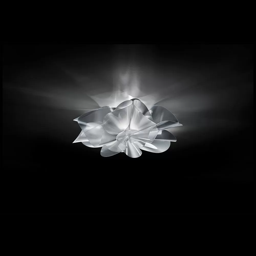 Etoile Ceiling/Wall 5 Etoile Ceiling/Wall - Image 3