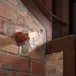 Punt Ceiling/Wall Without Switch -Lighting Store carpyen punt ceiling wall without switch image12