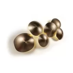 Chestnut 6 Light Ceiling/Wall