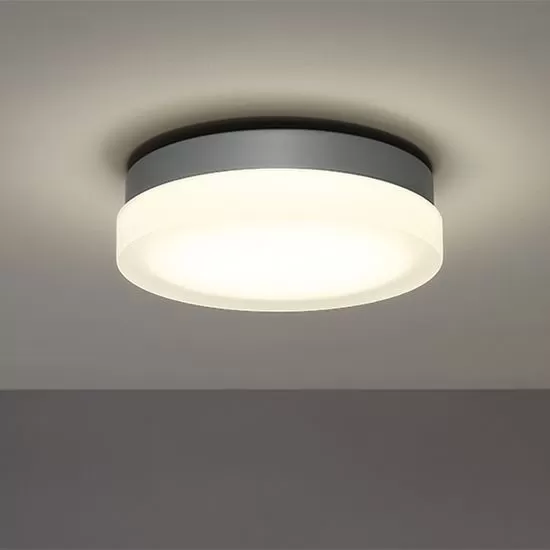 Circa Ceiling/Wall 8 Circa Ceiling/Wall - Image 6