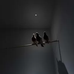 Lighting Store -Lighting Store davide groppi nulla recessed ceiling image3