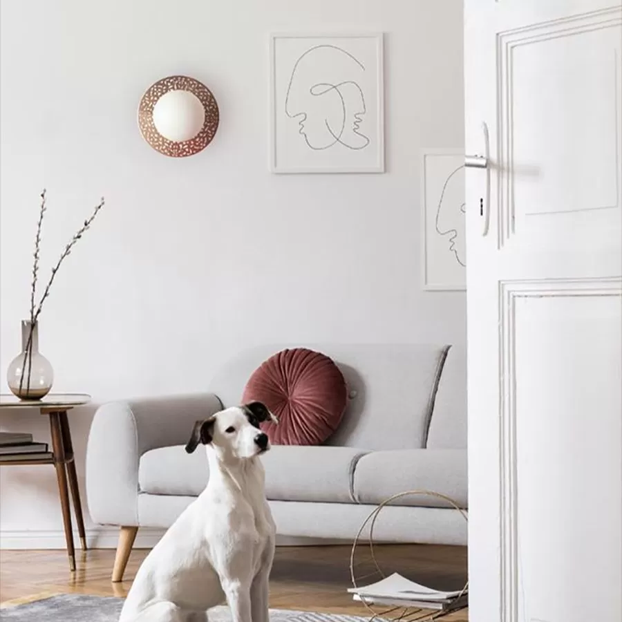 Riad Wall 9 Riad Wall - Image 7