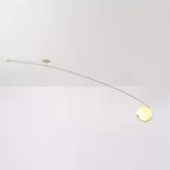 Fiddlehead Cantilever Ceiling