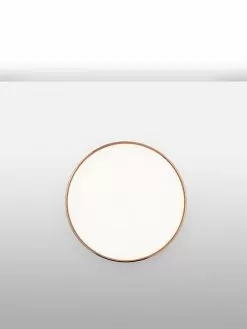 Flos Clara Wall/Ceiling -Lighting Store flos CLARA WALL CEILING image07