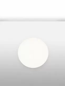 Flos Clara Wall/Ceiling -Lighting Store flos CLARA WALL CEILING image09