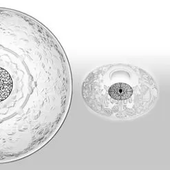 Flos Skygarden Recessed Ceiling -Lighting Store flos SKYGARDEN RECESSED CEILING image5