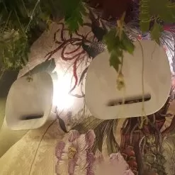 Moonlight W1 Wall -Lighting Store prandina moonlight w1 wall image8