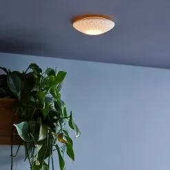 Sopra Ceiling/Wall -Lighting Store sopra wall ceiling image8