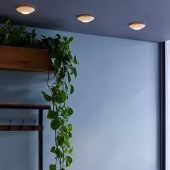 Sopra Ceiling/Wall -Lighting Store sopra wall ceiling image9