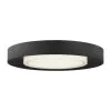 Hilo 16 Ceiling/Wall -Lighting Store tl Hilo 16 Ceiling Wall image2